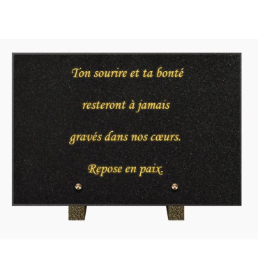 PLAQUE FUNÉRAIRE GRANIT NOIR MARLIN 20x30 SUR PIEDS TFP9001-100