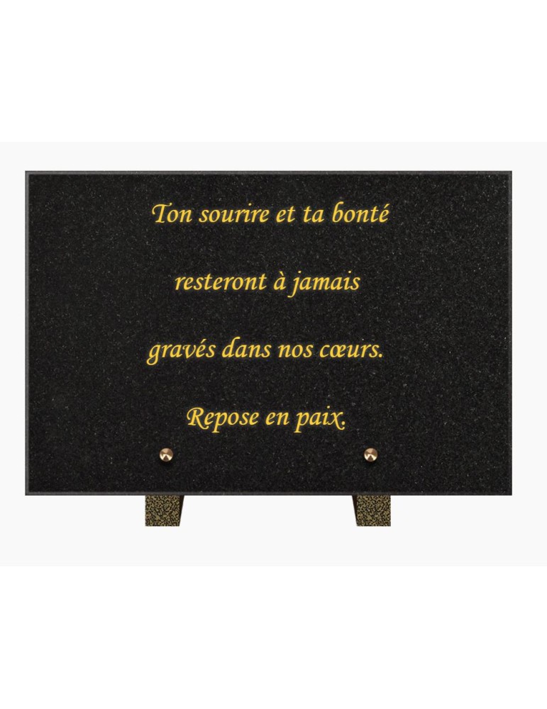 PLAQUE FUNÉRAIRE GRANIT NOIR MARLIN 20x30 SUR PIEDS TFP9001-100