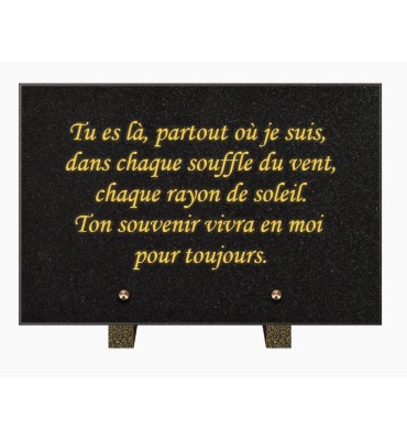 PLAQUE FUNÉRAIRE GRANIT NOIR MARLIN 20x30 SUR PIEDS TFP9001-101