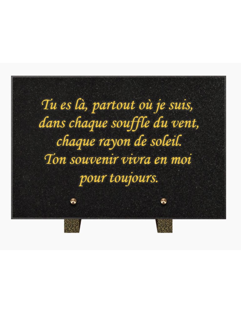 PLAQUE FUNÉRAIRE GRANIT NOIR MARLIN 20x30 SUR PIEDS TFP9001-101