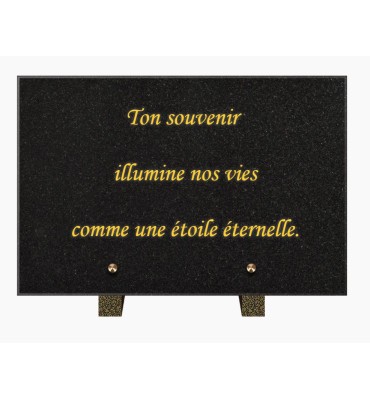 PLAQUE FUNÉRAIRE GRANIT NOIR MARLIN 20x30 SUR PIEDS TFP9001-102