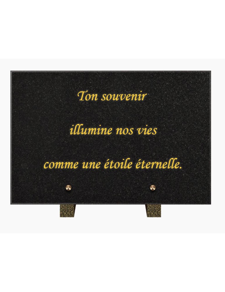 PLAQUE FUNÉRAIRE GRANIT NOIR MARLIN 20x30 SUR PIEDS TFP9001-102