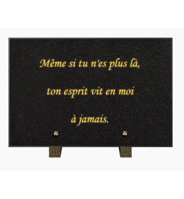 PLAQUE FUNÉRAIRE GRANIT NOIR MARLIN 20x30 SUR PIEDS TFP9001-104