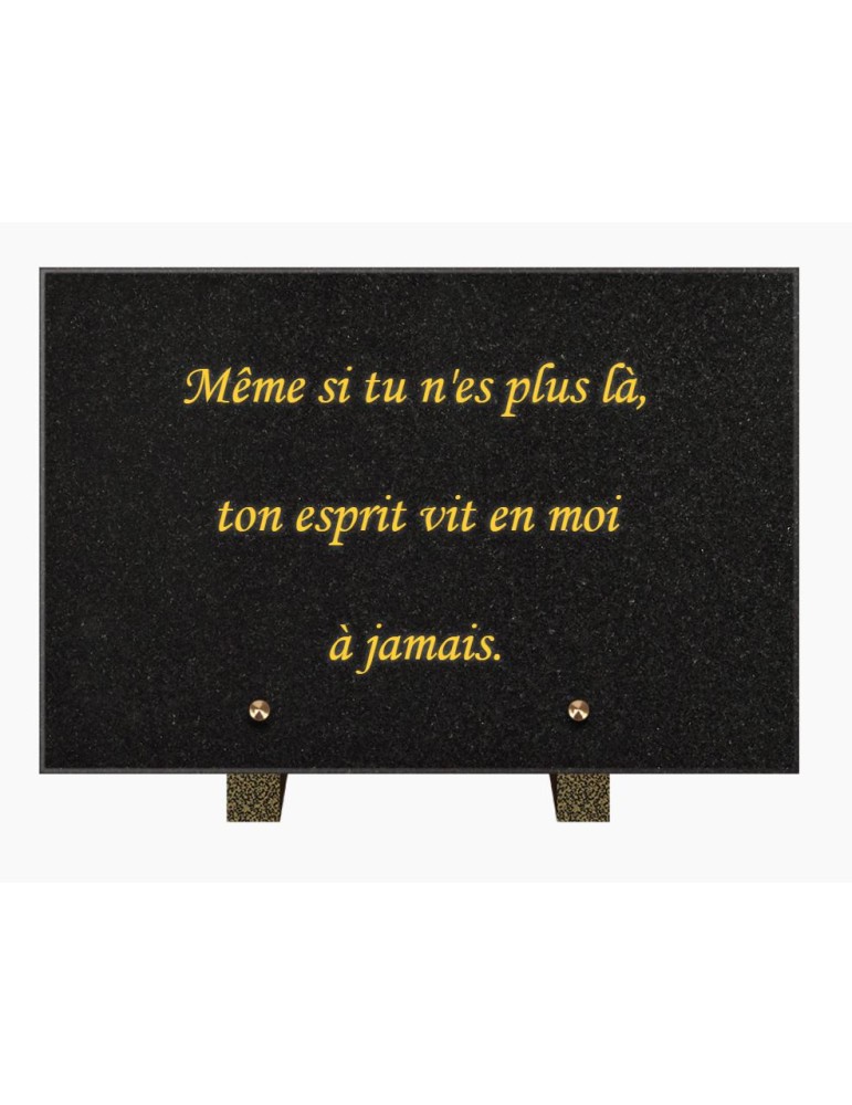 PLAQUE FUNÉRAIRE GRANIT NOIR MARLIN 20x30 SUR PIEDS TFP9001-104