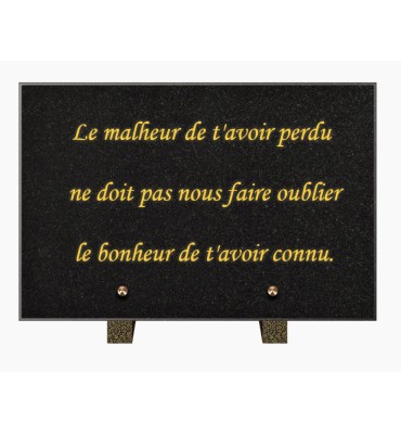 PLAQUE FUNÉRAIRE GRANIT NOIR MARLIN 20x30 SUR PIEDS TFP9001-110