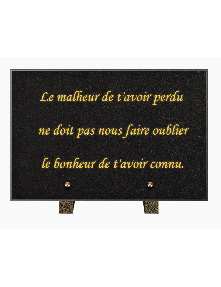 PLAQUE FUNÉRAIRE GRANIT NOIR MARLIN 20x30 SUR PIEDS TFP9001-110